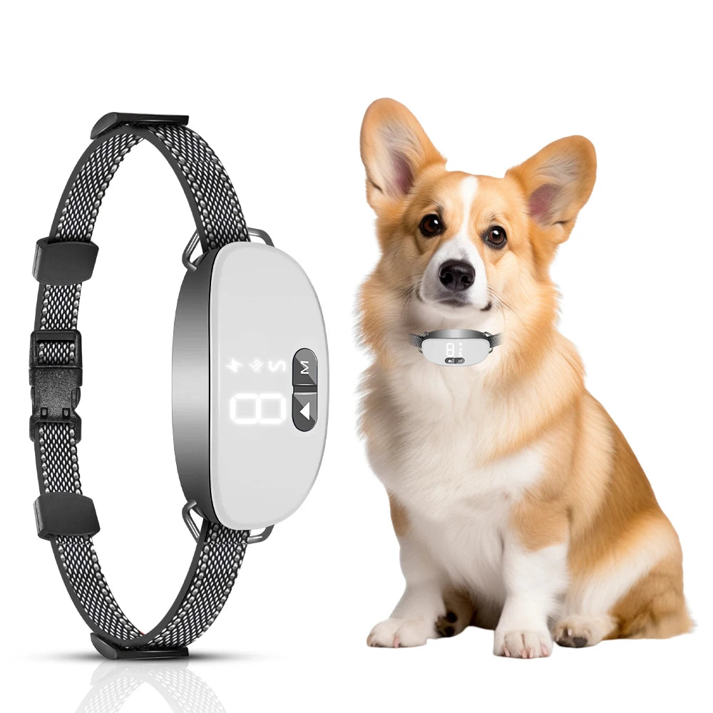 Collar automático antiladridos para perros
