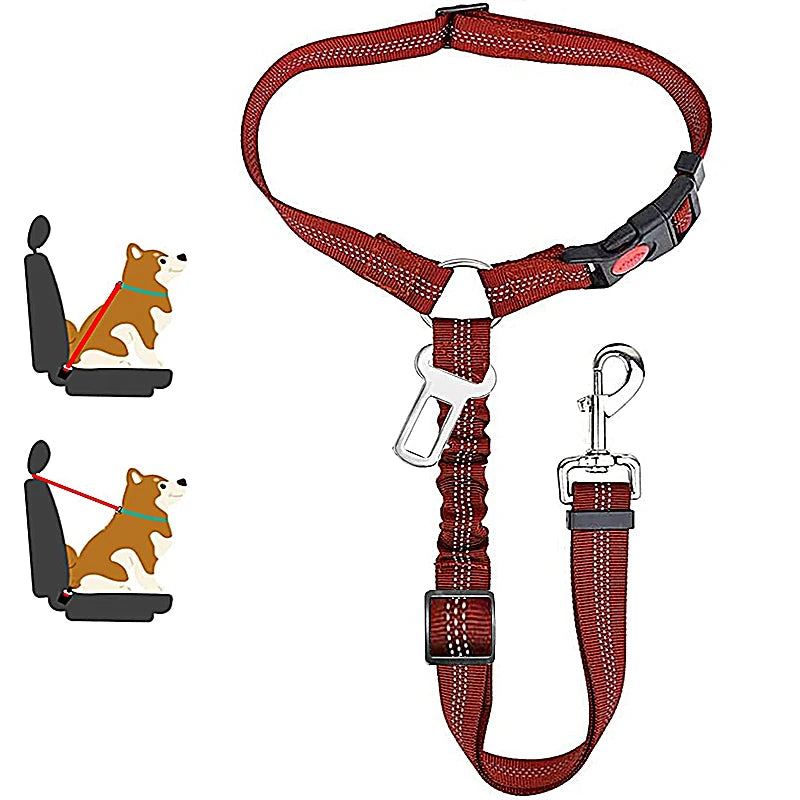 Collar Ajustable Pet Accessories
