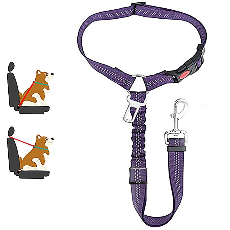 Collar Ajustable Pet Accessories